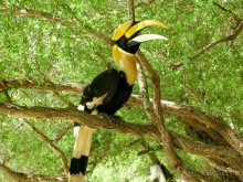 Древние храмы и вечные пляжи. Часть 7