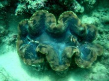 Древние храмы и вечные пляжи. Часть 7