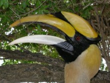 Древние храмы и вечные пляжи. Часть 7