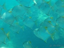 Древние храмы и вечные пляжи. Часть 7