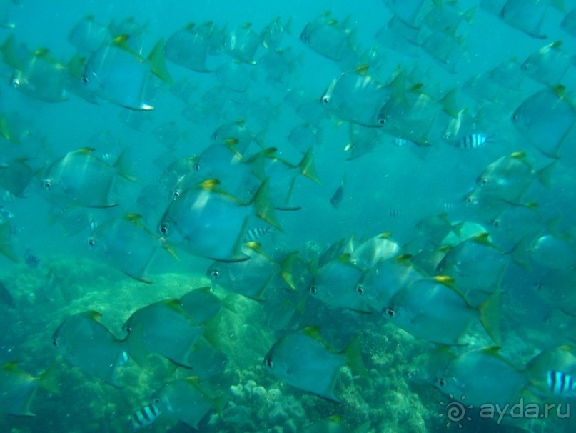 Древние храмы и вечные пляжи. Часть 7