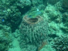 Древние храмы и вечные пляжи. Часть 7