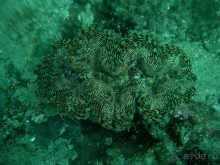 Древние храмы и вечные пляжи. Часть 7