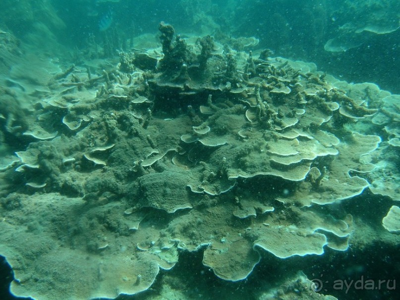 Древние храмы и вечные пляжи. Часть 7 Древние храмы и вечные пляжи. Часть 7