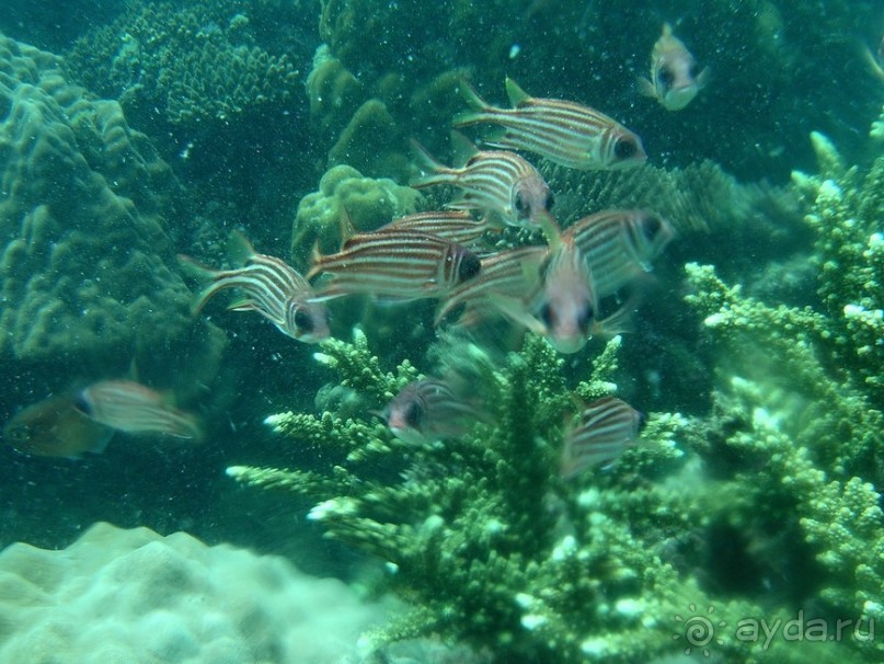 Древние храмы и вечные пляжи. Часть 7 Древние храмы и вечные пляжи. Часть 7