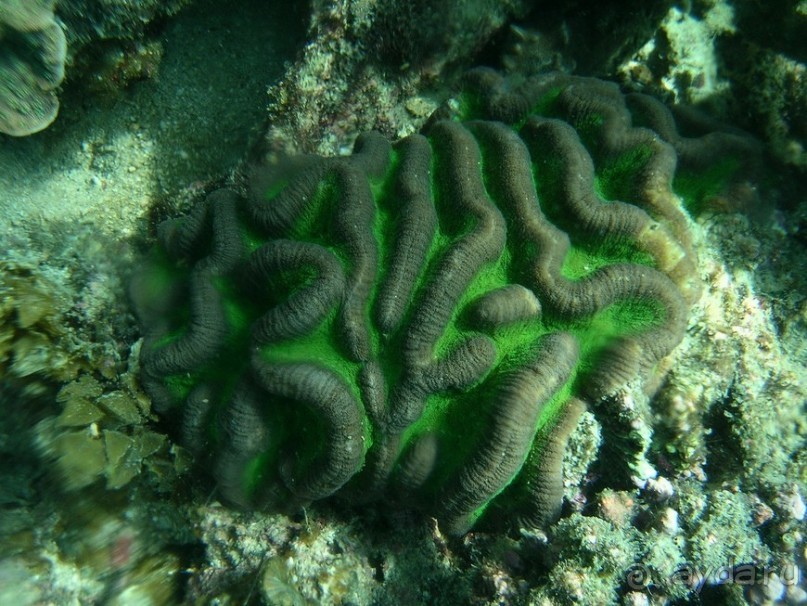 Древние храмы и вечные пляжи. Часть 7 Древние храмы и вечные пляжи. Часть 7