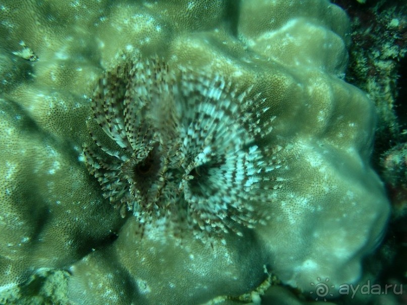 Древние храмы и вечные пляжи. Часть 7 Древние храмы и вечные пляжи. Часть 7