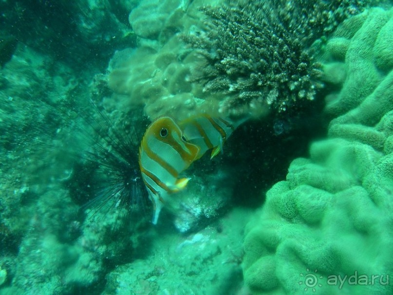 Древние храмы и вечные пляжи. Часть 7 Древние храмы и вечные пляжи. Часть 7