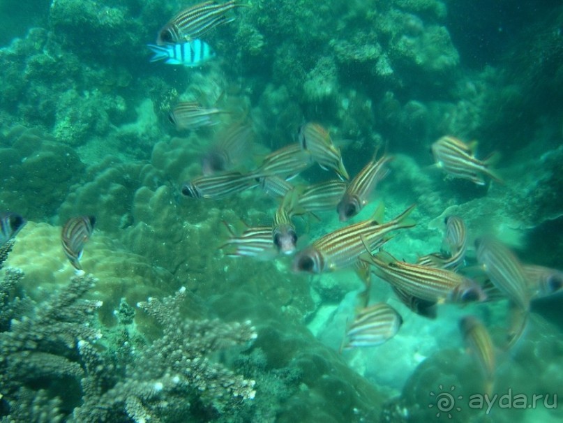 Древние храмы и вечные пляжи. Часть 7 Древние храмы и вечные пляжи. Часть 7