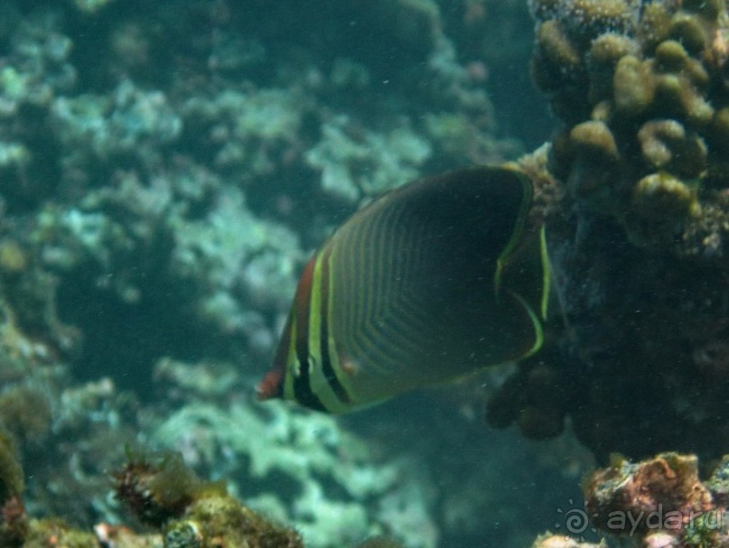 По филиппинским городам и весям. Часть 4