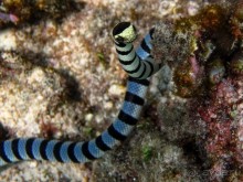 По филиппинским городам и весям. Часть 4