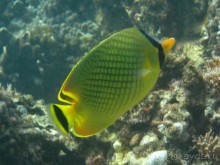 По филиппинским городам и весям. Часть 4