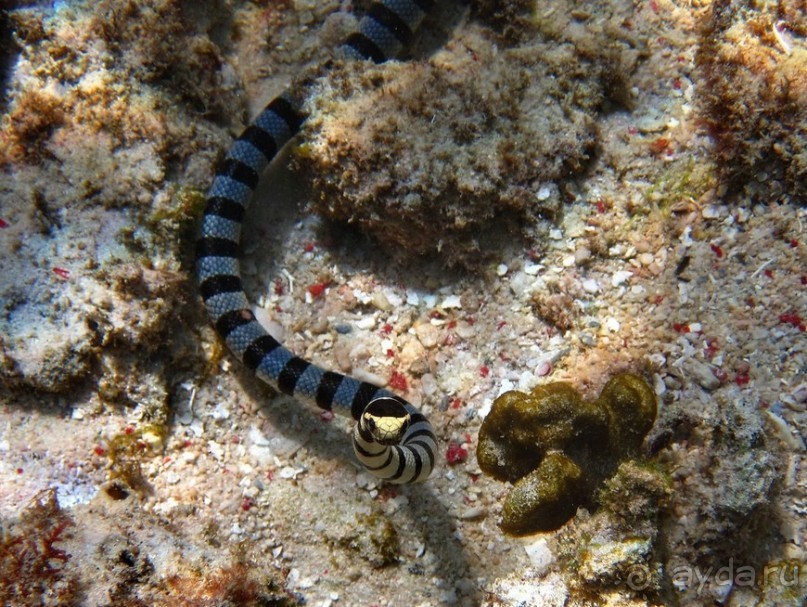 По филиппинским городам и весям. Часть 4