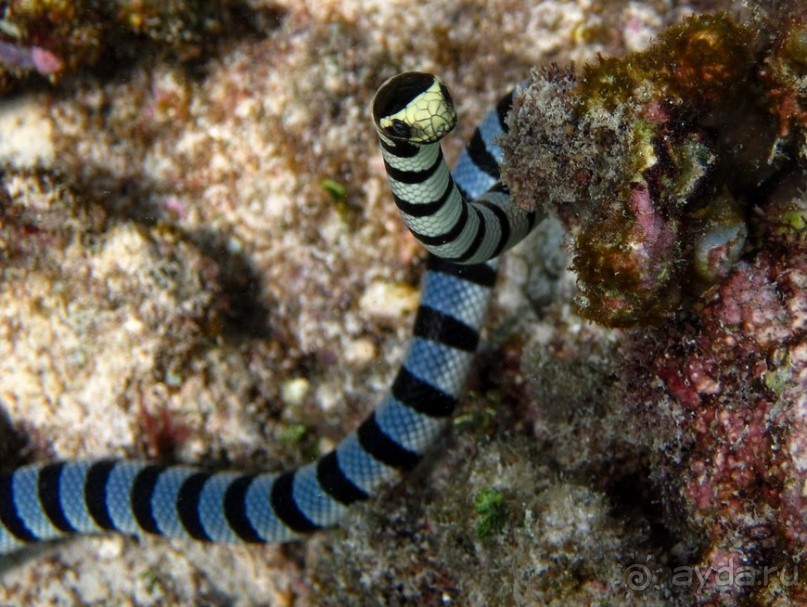 По филиппинским городам и весям. Часть 4