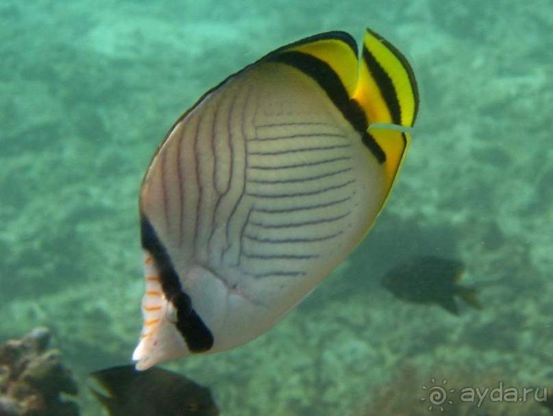 По филиппинским городам и весям. Часть 4