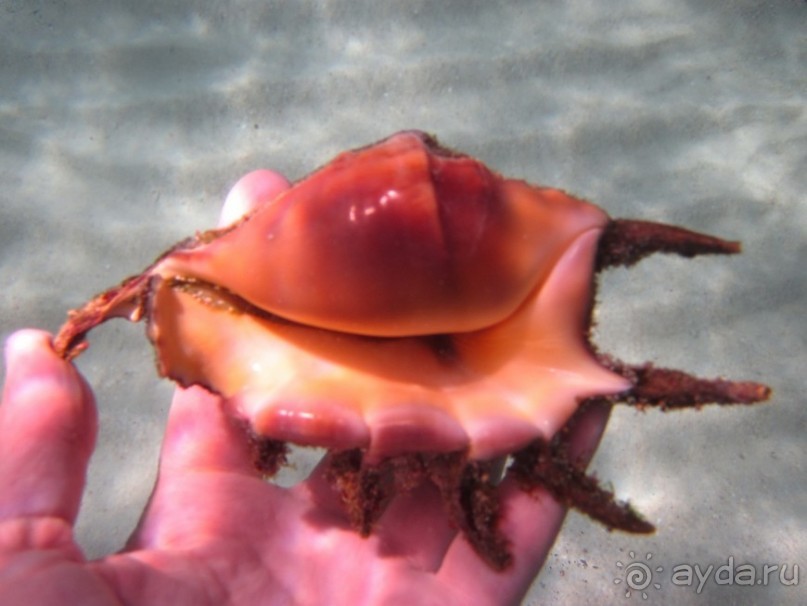 По филиппинским городам и весям. Часть 4