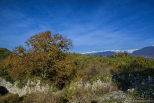 Между Псоу и Ингур. Часть 5