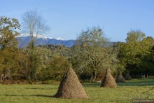 Между Псоу и Ингур. Часть 5