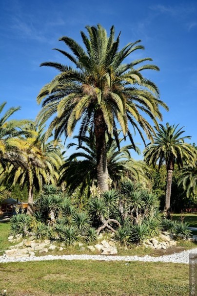 Между Псоу и Ингур. Часть 5