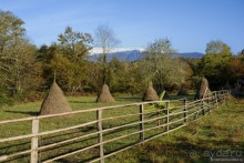 Между Псоу и Ингур. Часть 5