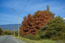 Между Псоу и Ингур. Часть 5