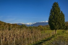 Между Псоу и Ингур. Часть 5