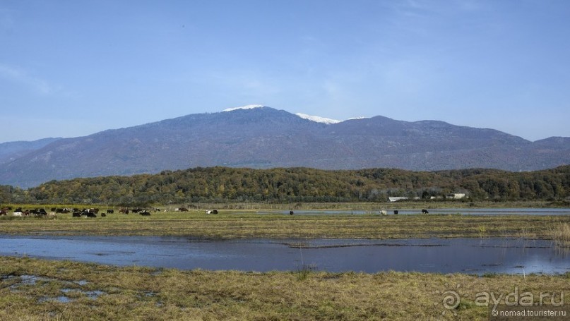 Между Псоу и Ингур. Часть 5