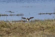 Между Псоу и Ингур. Часть 5