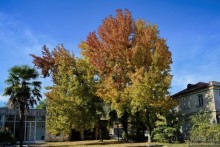 Между Псоу и Ингур. Часть 5