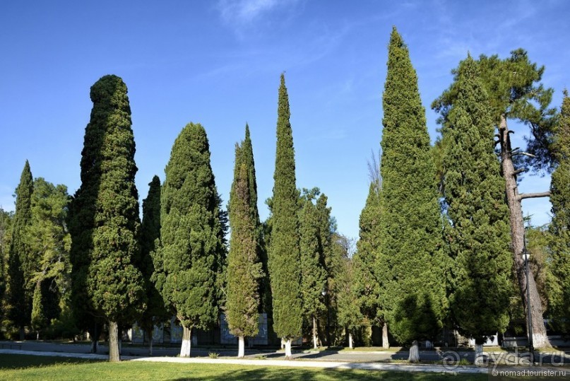 Между Псоу и Ингур. Часть 5