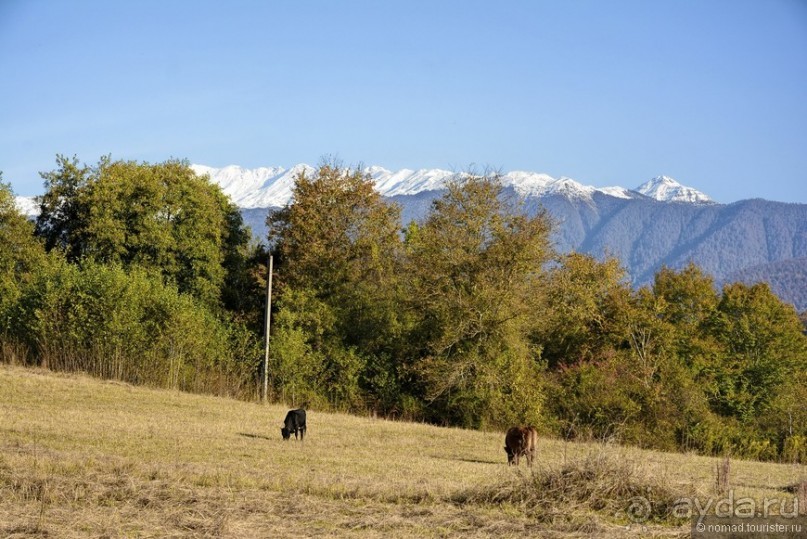 Между Псоу и Ингур. Часть 5