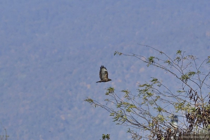 Между Псоу и Ингур. Часть 5