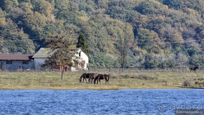 Между Псоу и Ингур. Часть 5