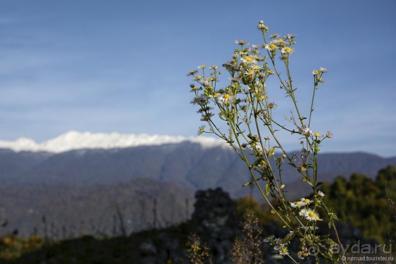 Между Псоу и Ингур. Часть 5