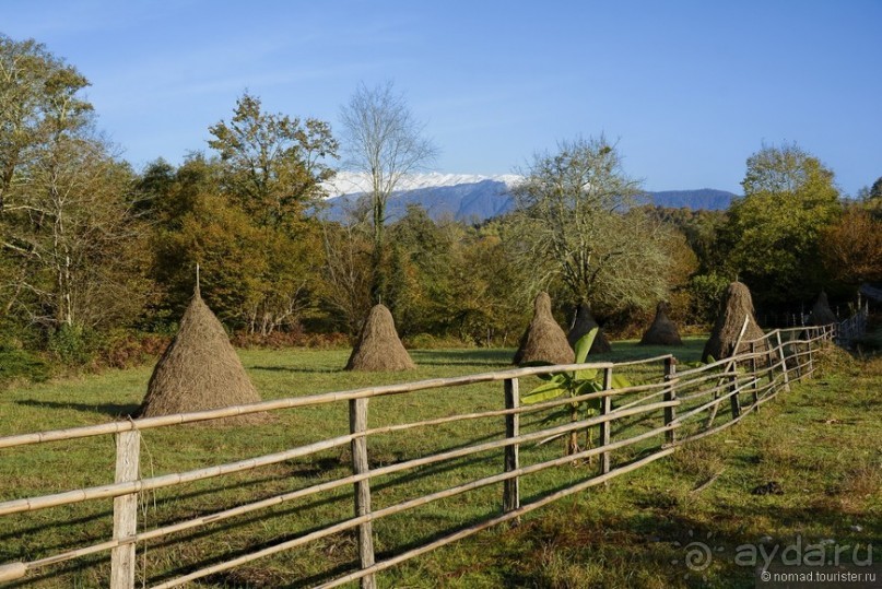 Между Псоу и Ингур. Часть 5