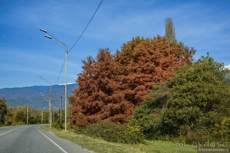 Между Псоу и Ингур. Часть 5