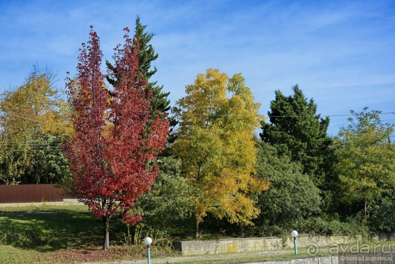 Между Псоу и Ингур. Часть 5