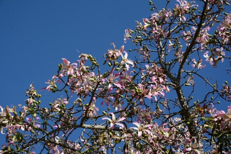 Hop on Malta! Часть 1