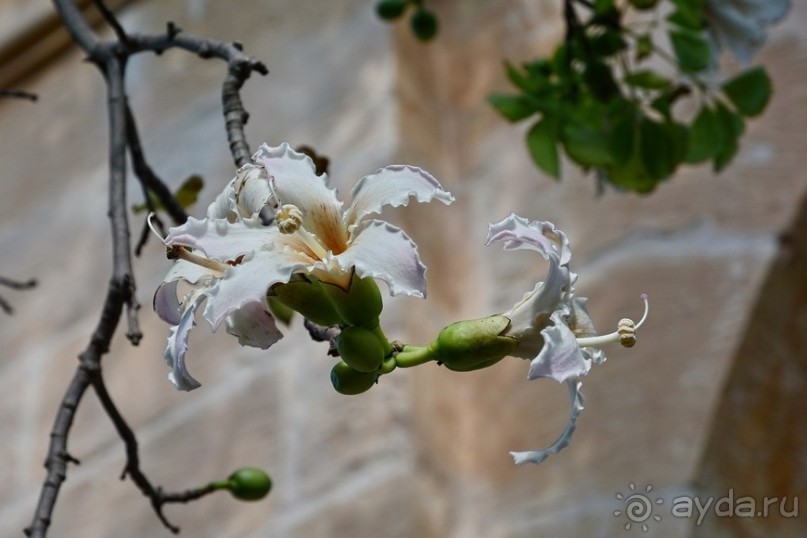 Hop on Malta! Часть 1