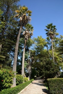 Hop on Malta! Часть 1