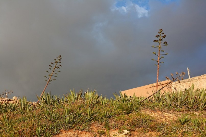 Hop on Malta! Часть 1