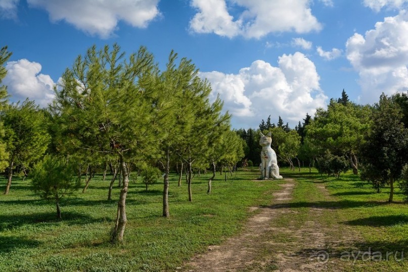 Hop on Malta! Часть 1