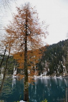 Между Псоу и Ингур. Часть 1