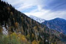 Между Псоу и Ингур. Часть 1