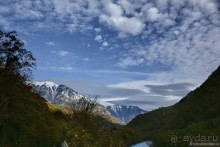 Альбом отзыва "Между Псоу и Ингур. Часть 1"