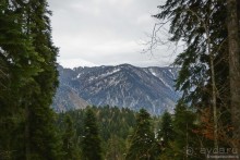 Между Псоу и Ингур. Часть 1