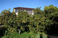 Альбом отзыва "Между Псоу и Ингур. Часть 1"