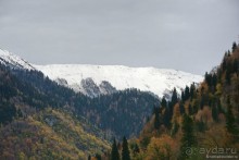 Между Псоу и Ингур. Часть 1