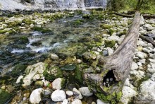 Между Псоу и Ингур. Часть 1