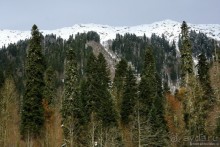 Альбом отзыва "Между Псоу и Ингур. Часть 1"